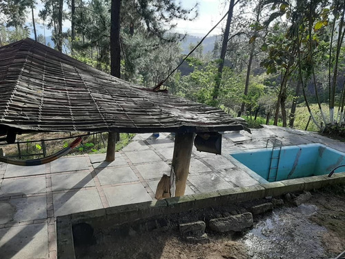 Imagen 8 de 14 de Finca En Venta En Bejuma