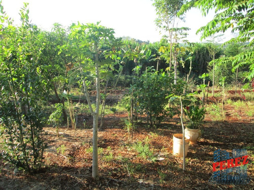 Imagem 26 de 30 de Chácaras_sítios_fazendas Para Venda - 13650.5347