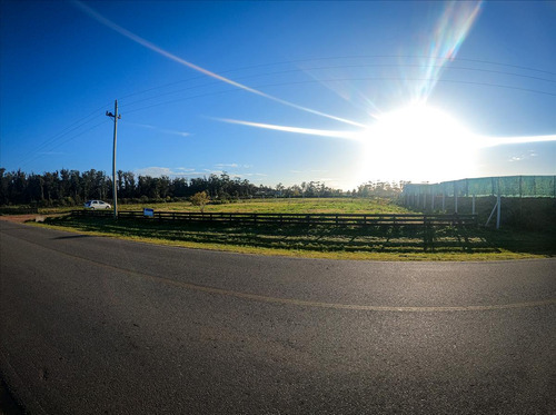 Venta Terreno Sobre Camino Eguzquiza La Barra Maldonado