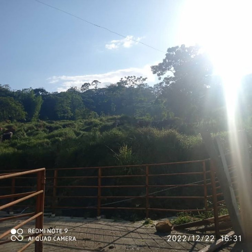 Imagen 4 de 4 de Finca En Venta Via Chorro El Indio
