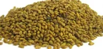 Comprar Todds Seeds Semillas De Germinacion De Alfalfa Semillas De A
