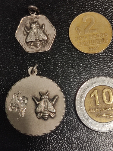 Medalla Plata 925 Abeja Maestra 20 Mm Redonda Y Cadena 40 Cm