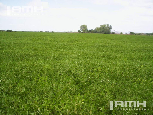 Campo - General Madariaga Campo En Venta 90 Hectáreas Gral Madariaga