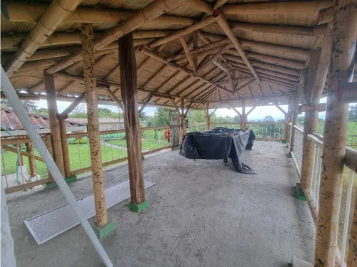 Finca Para La Venta Entre Quimbaya Y Filandia Con Excelenteubicación