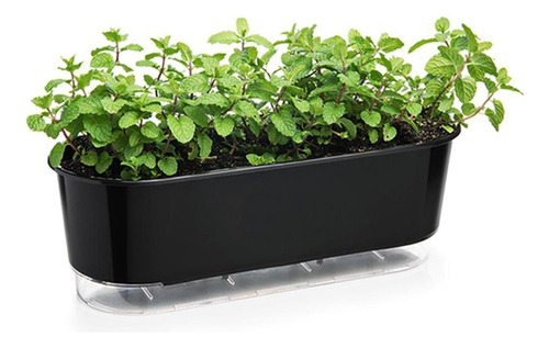 Vaso Jardineira Raiz Autoirrigável 40cm Preto Floreira