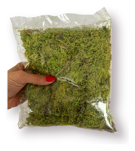 Musgo Para Artesanato Sphagnum - 1 Pacote Com 10g