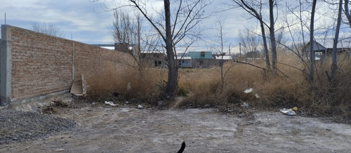 Lote 300m2 En Vaca Muerta. (san Patricio Del Chañar)