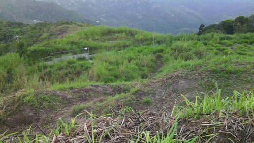 Imagen 2 de 4 de Terreno En Venta