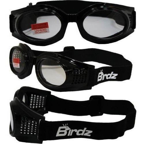 Gafas De Motocicleta Birdz Eyewear Kite (marco Negro / Lente