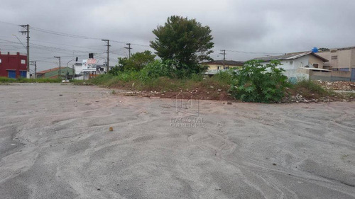 Terreno Para Alugar, 7300 M² Por R$ 70.000,00/mês - Vila Sacadura Cabral - Santo André/sp - Te1009