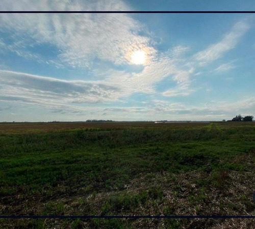 Imagen 4 de 6 de Venta Campo 51 Ha Papero