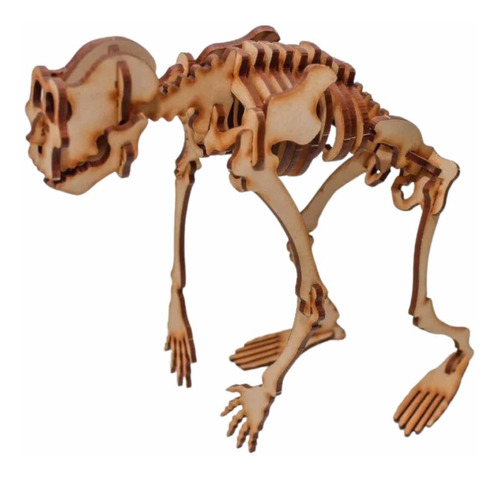 Esqueleto Primate Homo Sapiens Para Armar Madera Mdf Láser