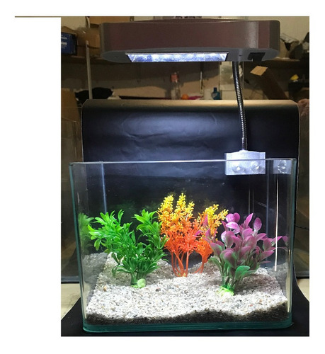 Aquário Luxo 15 Litros 30cm 35x20x25cm  Com Iluminação Led 3w + Tampa + Vinil Preto P/ Peixes Pequenos - Betta - Tetra