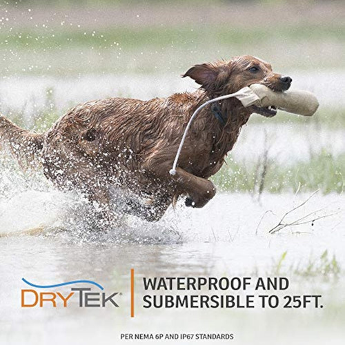 Sportdog Brand Sporttrainer 575 - Entrenador
