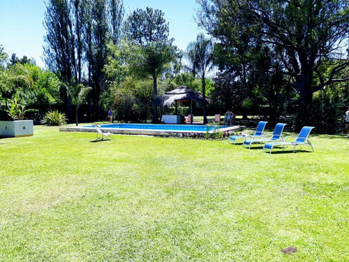 Imagen 7 de 18 de Excelente Quinta , 12000 Mts2 , Arboles Añosos Y Variados
