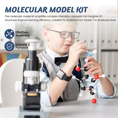 Modelo Estructura Molecular Bola Química Y Palo