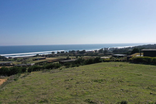 Vista Horizonte Punta De Lobos