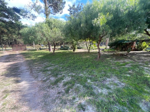 Venta Terreno El Pinar