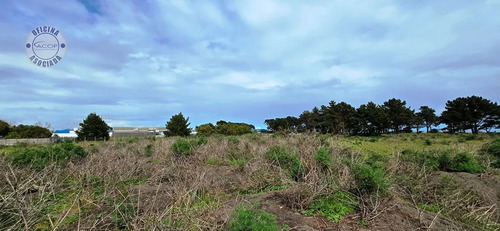 Gran Terreno En Parque Industrial Escuadrón