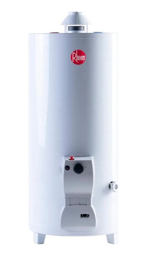 Termotanque Rheem Tpg080gnrh 80lt. Multigas De Pie Gn