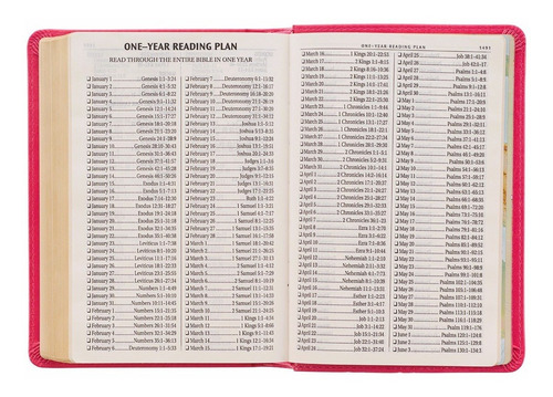 Imagen 9 de 10 de Biblia En Inglés King James Version Chica Letra Grande Rosa