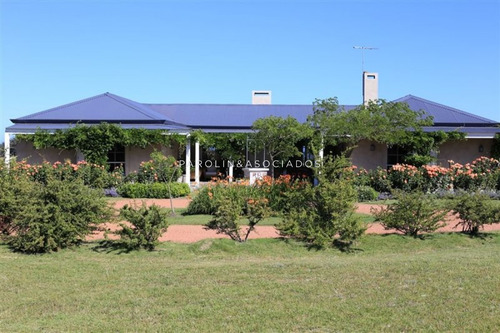 Chacra De 9 Hectareas Con Vista Al Mar!!- Ref: 2267