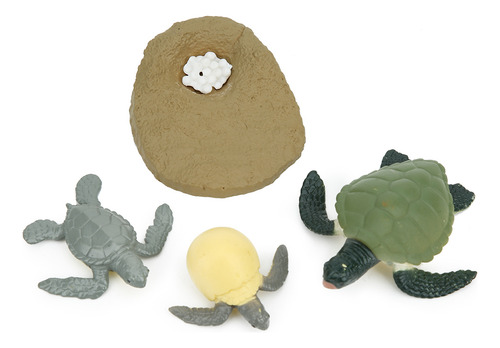 Modelo De Ciclo De Vida Animal, Juguete De Alta Simulación P