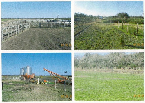 Imagen 3 de 5 de Vende Campo Ganadero - Cría-recría