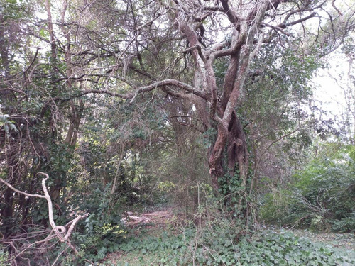 Imagen 9 de 12 de Lote De 20x40, Punta Indio