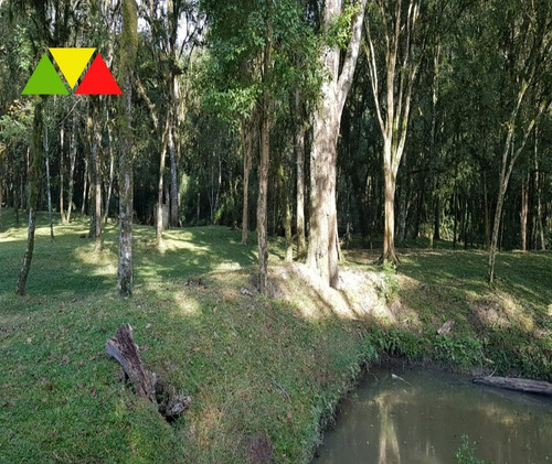 Imagem 8 de 30 de Chácara Em Cai De Baixo - Ch00088 - 34982990