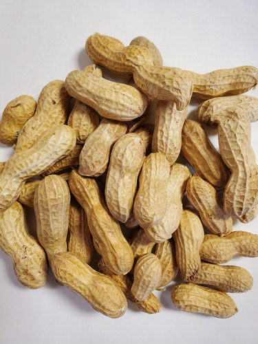 10 Kilogramos Cacahuate Tostado Con Cascara Sango