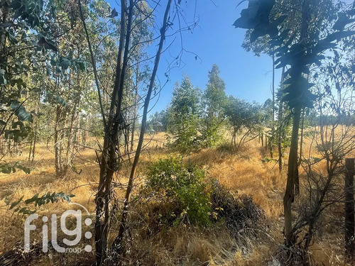 Venta De Terreno En San Nicolás Naturaleza Y Tranquilidad