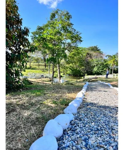 Venta De Lotes En Acacias Meta