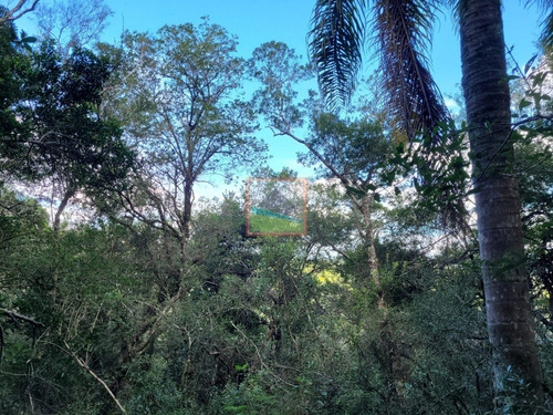 Imagen 21 de 23 de Campo Turístico 38 Hás En Zanja Del Tigre