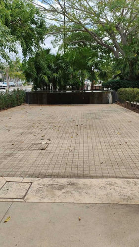 Terrazas De 350 M2 Para Isla