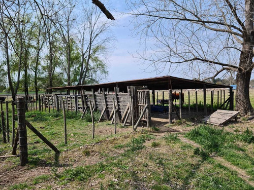 Imagen 7 de 12 de Campo En Venta Sobre Acceso Oeste