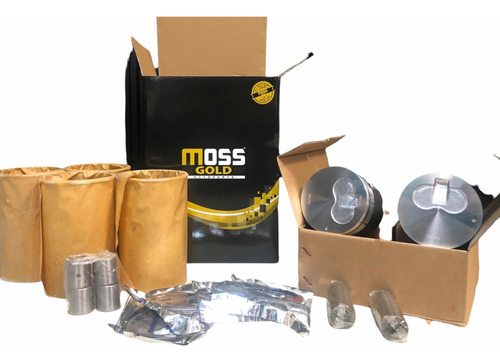 Kit Motor (pistones Anillos Camisas Bocinas) Pregio 3.0