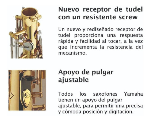 Imagen 2 de 3 de Saxofon Alto Dorado Yamaha Yas-26
