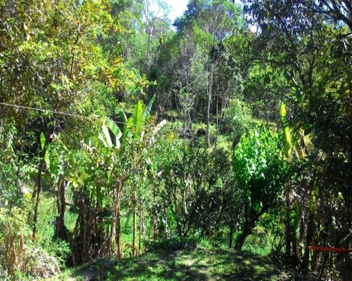 Chacara - Ch00075 - 32820374