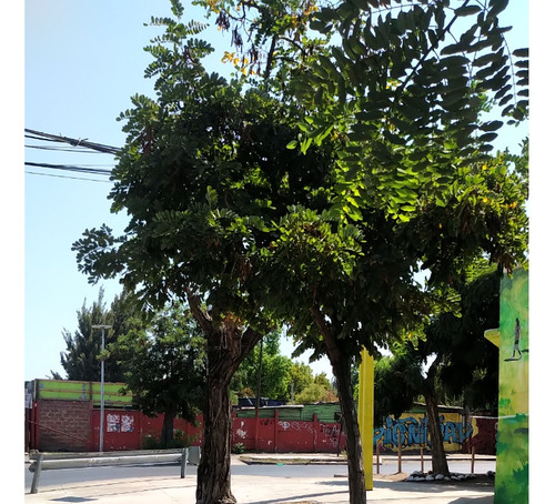 Se Vende Casa Antigua |240 M2 | P. Bdo Leighton-subercaseaux