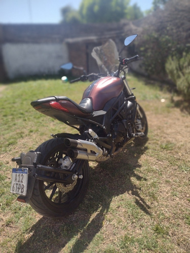Imagen 3 de 18 de Benelli 502 C