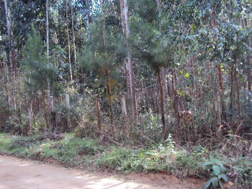 Chácara A Venda No Bairro Centro Em Mandirituba - Pr. - 5255-1