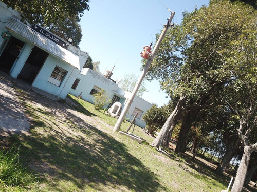 Imagen 13 de 20 de Chacra Sobre Ruta 20 Gualeguaychu!