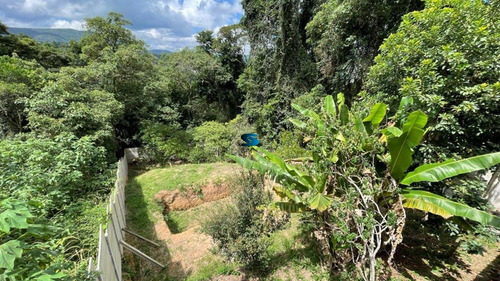 Imagem 6 de 25 de Chácara Em Mairiporã Para Reforma Com 630 M² - Ch00970 - 70738332
