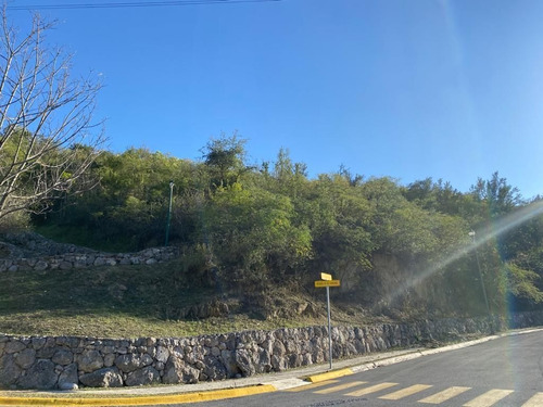 Terreno En Venta En Bosques De Valle Alto, Carretera Naciona