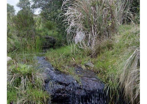 Venta - Chacra 5 Ha, Paraje Del Penitente, Sobre Ruta 8, Minas. Lavalleja.