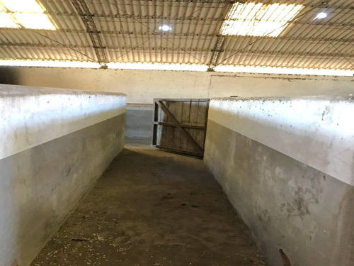 Sector Teniente Ignacio Serrano