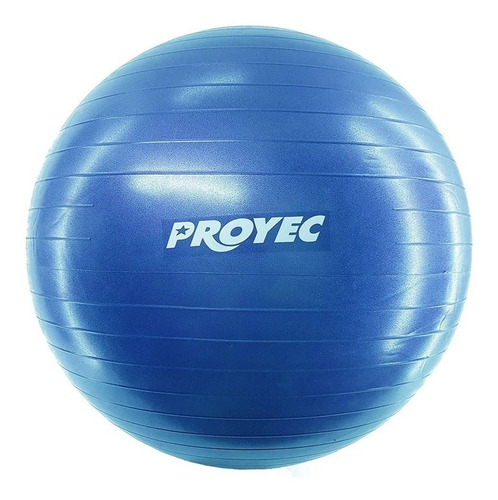 Pelota Esferodinamia 75 Cm Reforzada Proyec - Azul