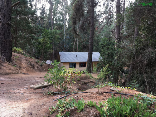 Casa En Venta De 5 Dorm. En Vichuquén