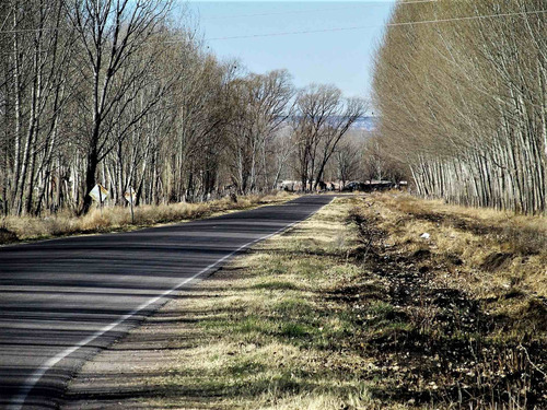 Imagen 4 de 9 de Venta Finca En El Cepillo San Carlos, Valle De Uco